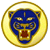 AVONDALE brand logo
